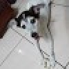 文章日期: 顏色: