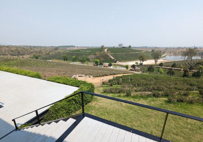 【泰國景點】翠峰茶園 – 喝茶、避暑、享受優閒的午後
