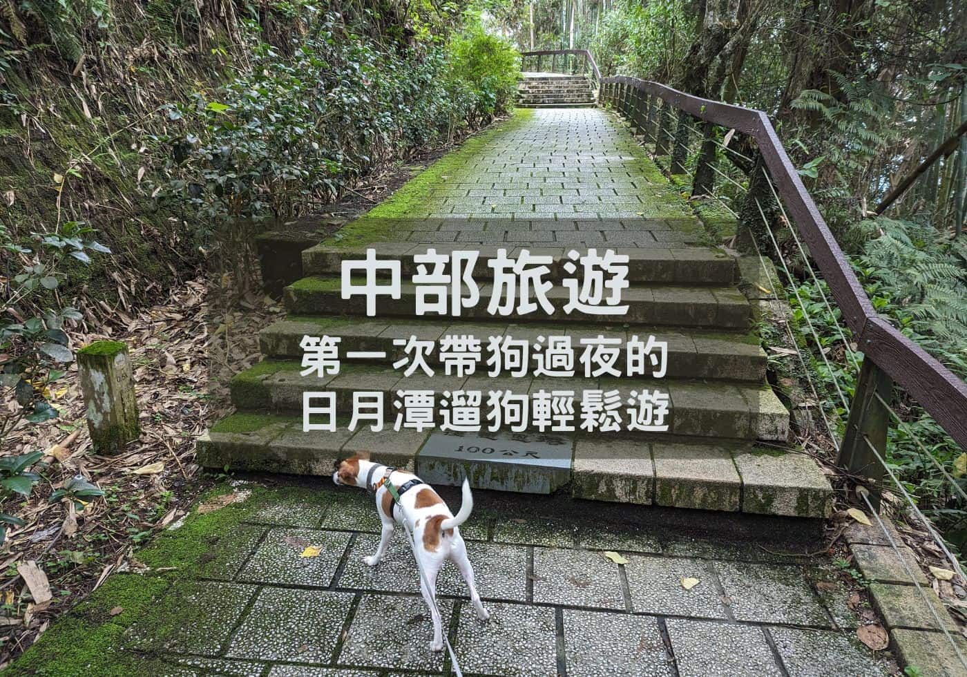 【中部旅遊】第一次帶狗過夜的日月潭遛狗輕鬆遊