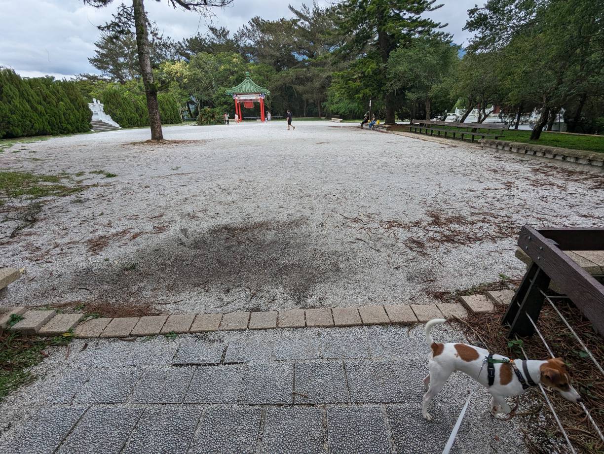 慈恩塔前