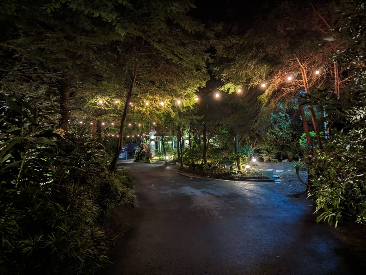 夜晚的園區