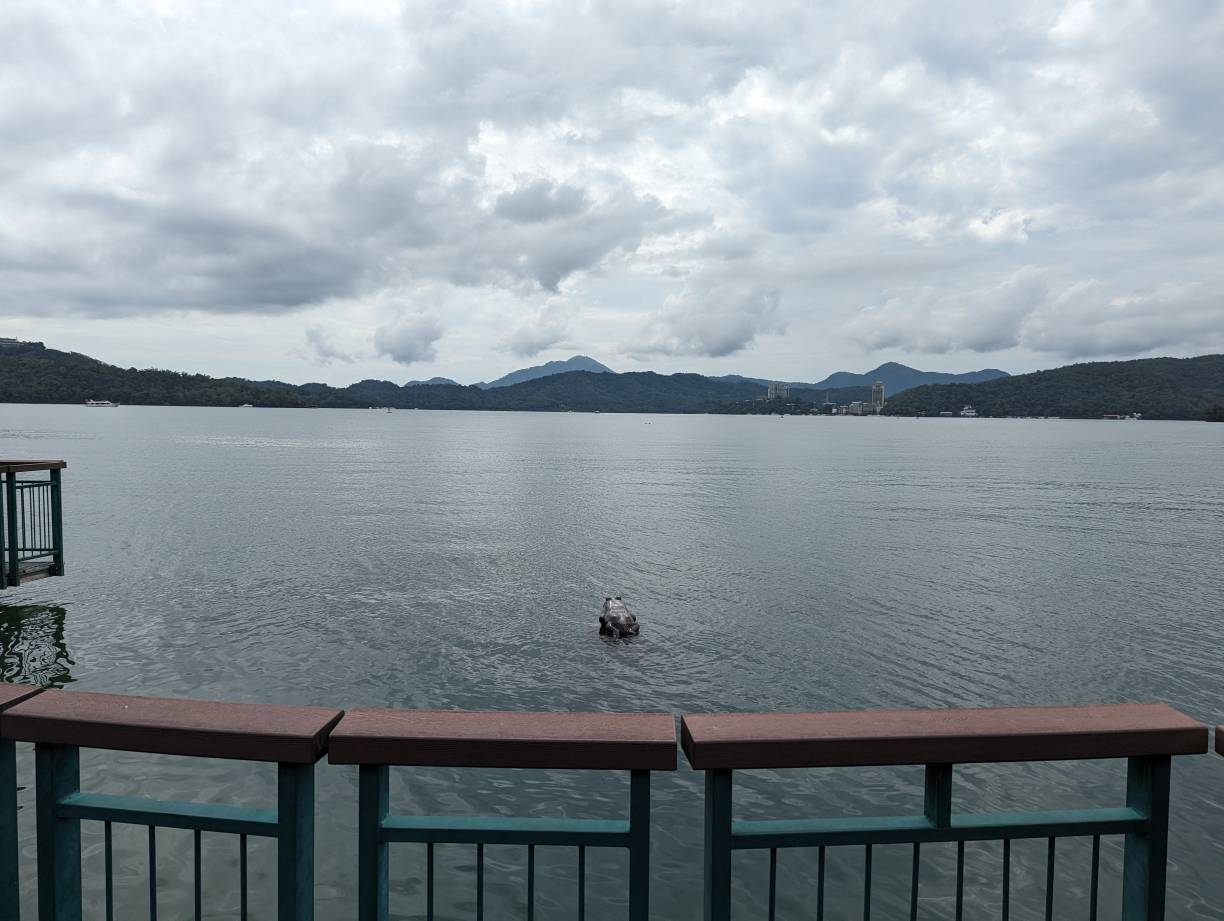 只有一隻青蛙