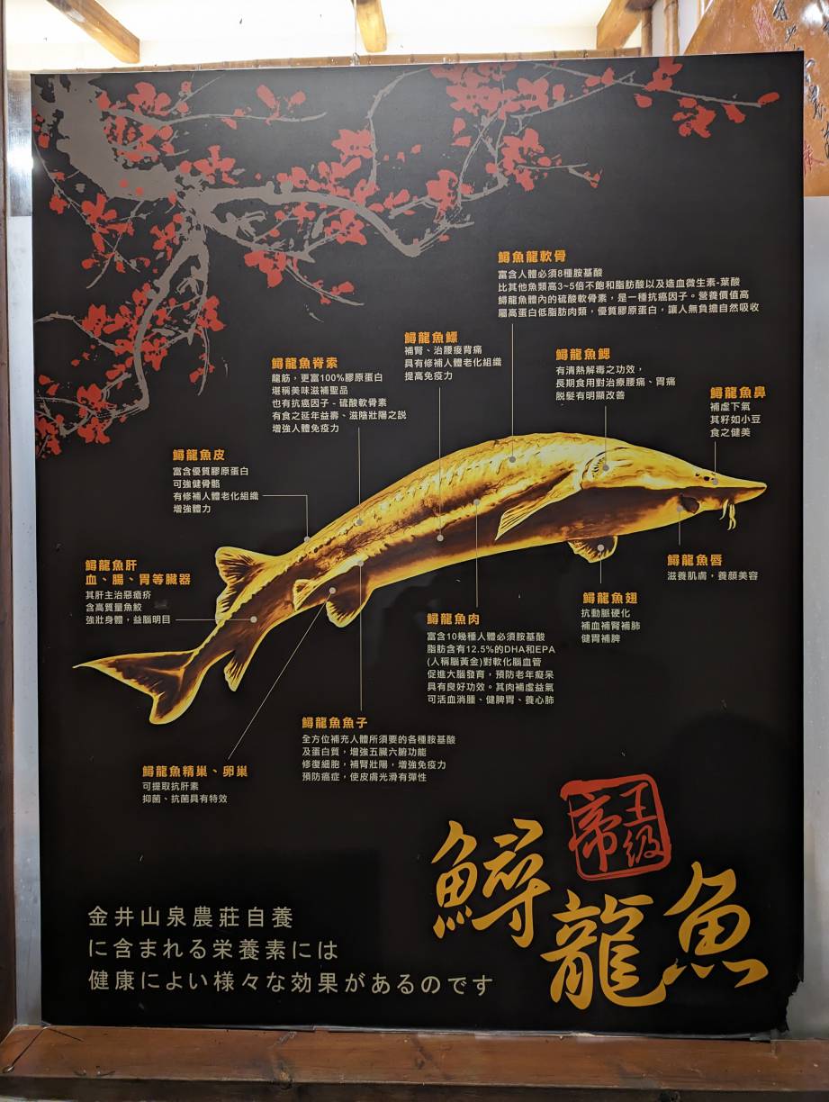 鱘龍魚部位介紹