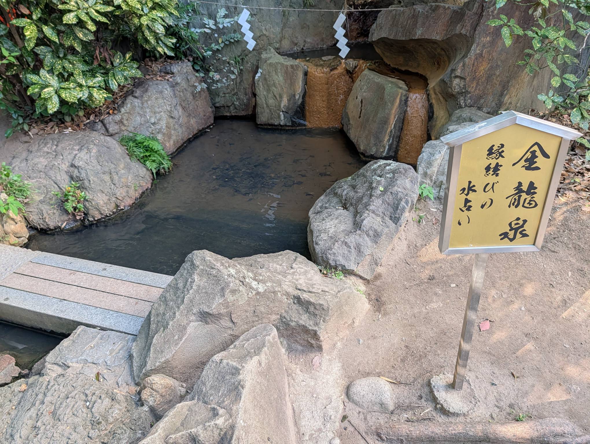 在金龍泉進行水占卜