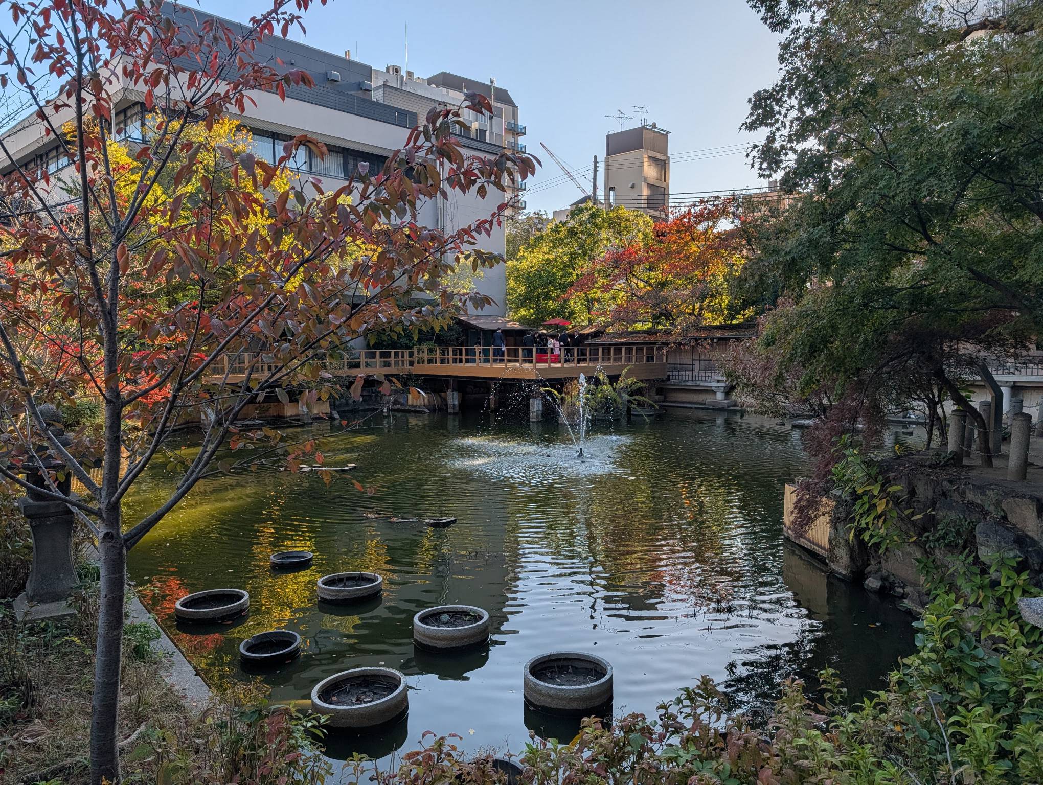 神社內的池塘