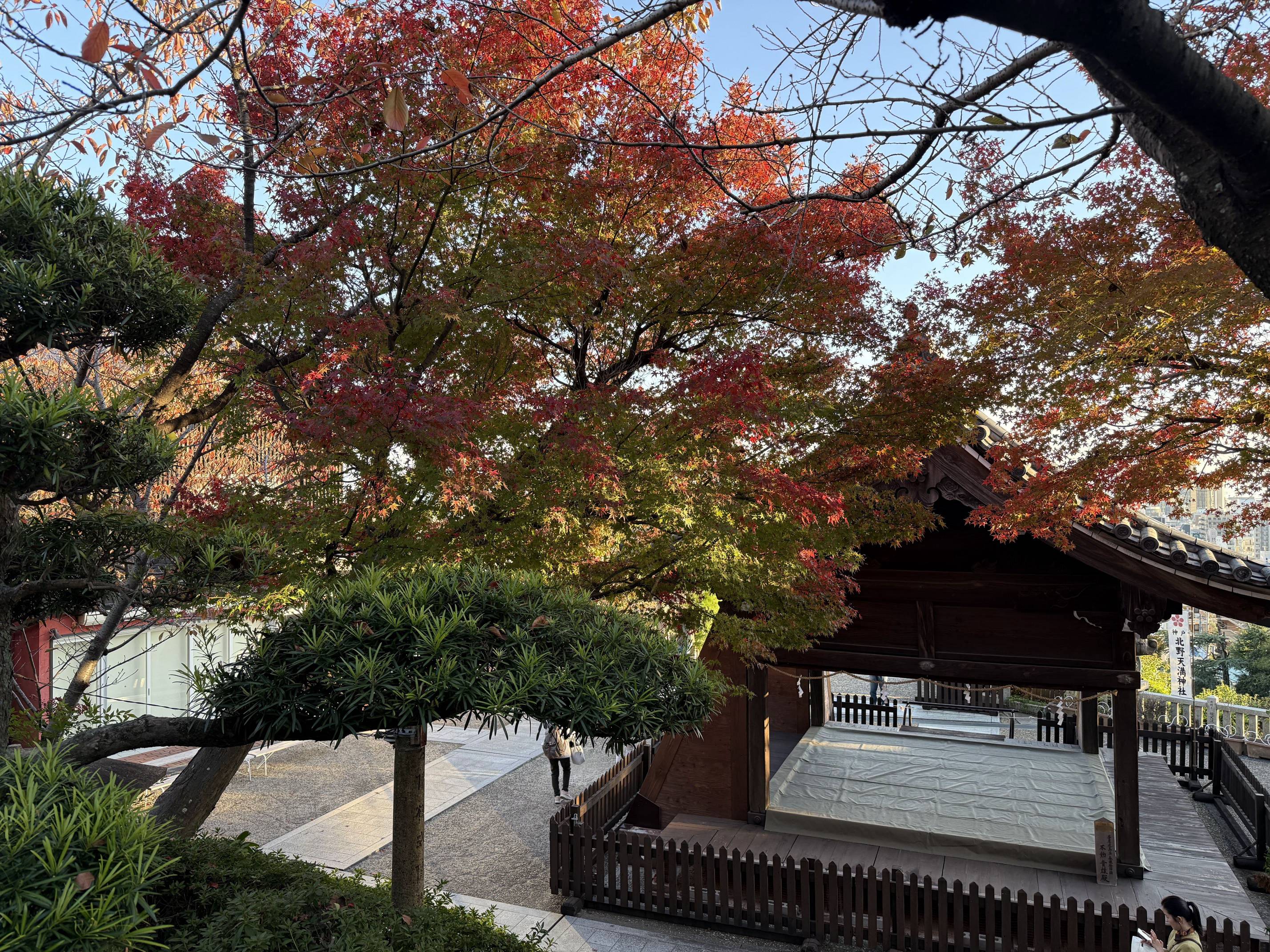 紅綠相間