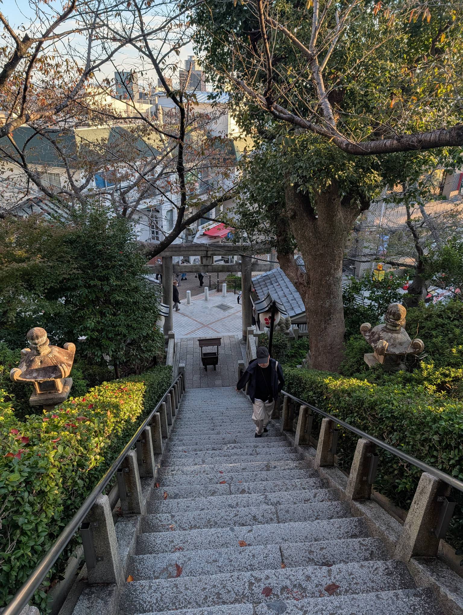 有點兒陡