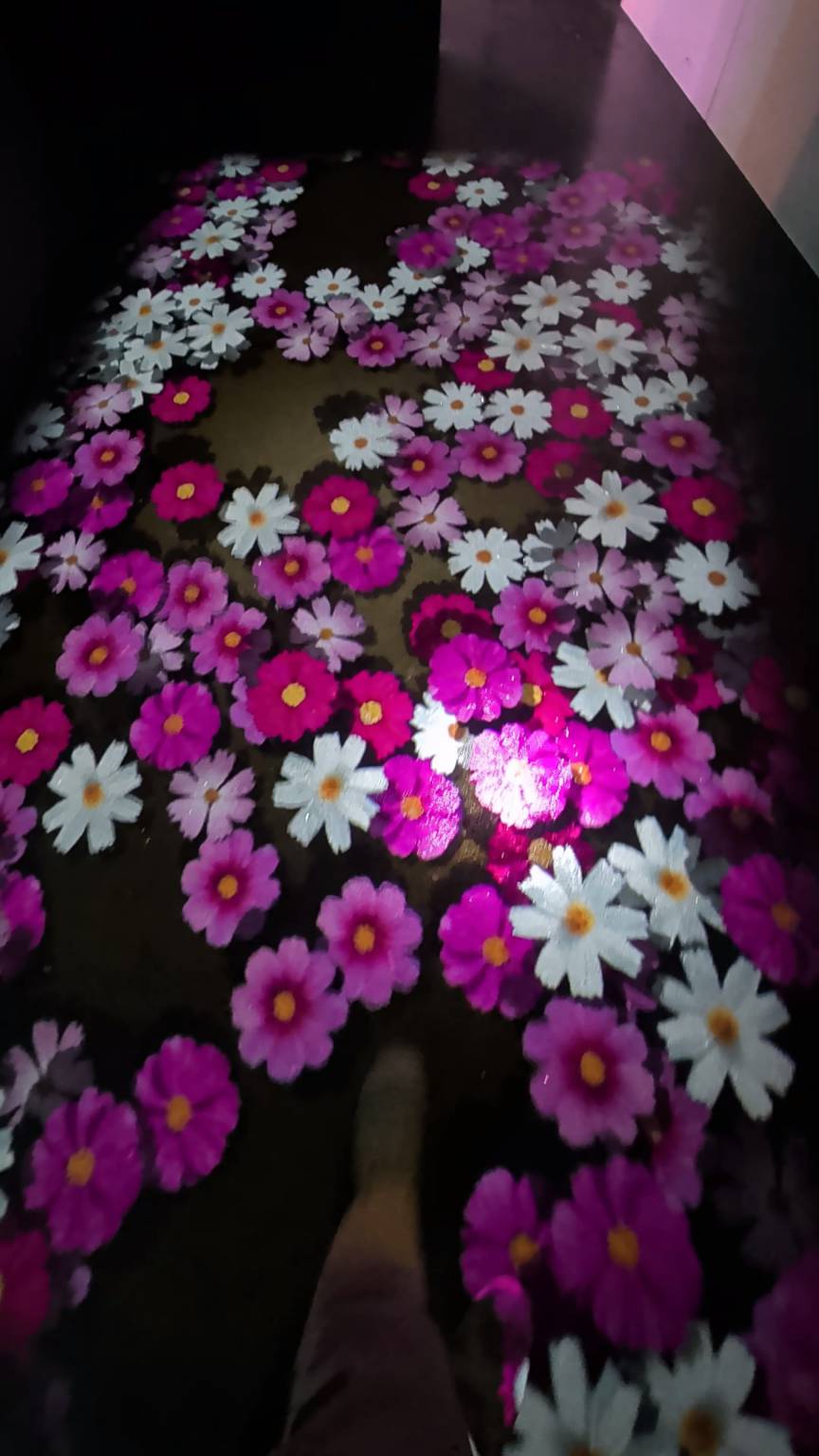 可以互動的小花