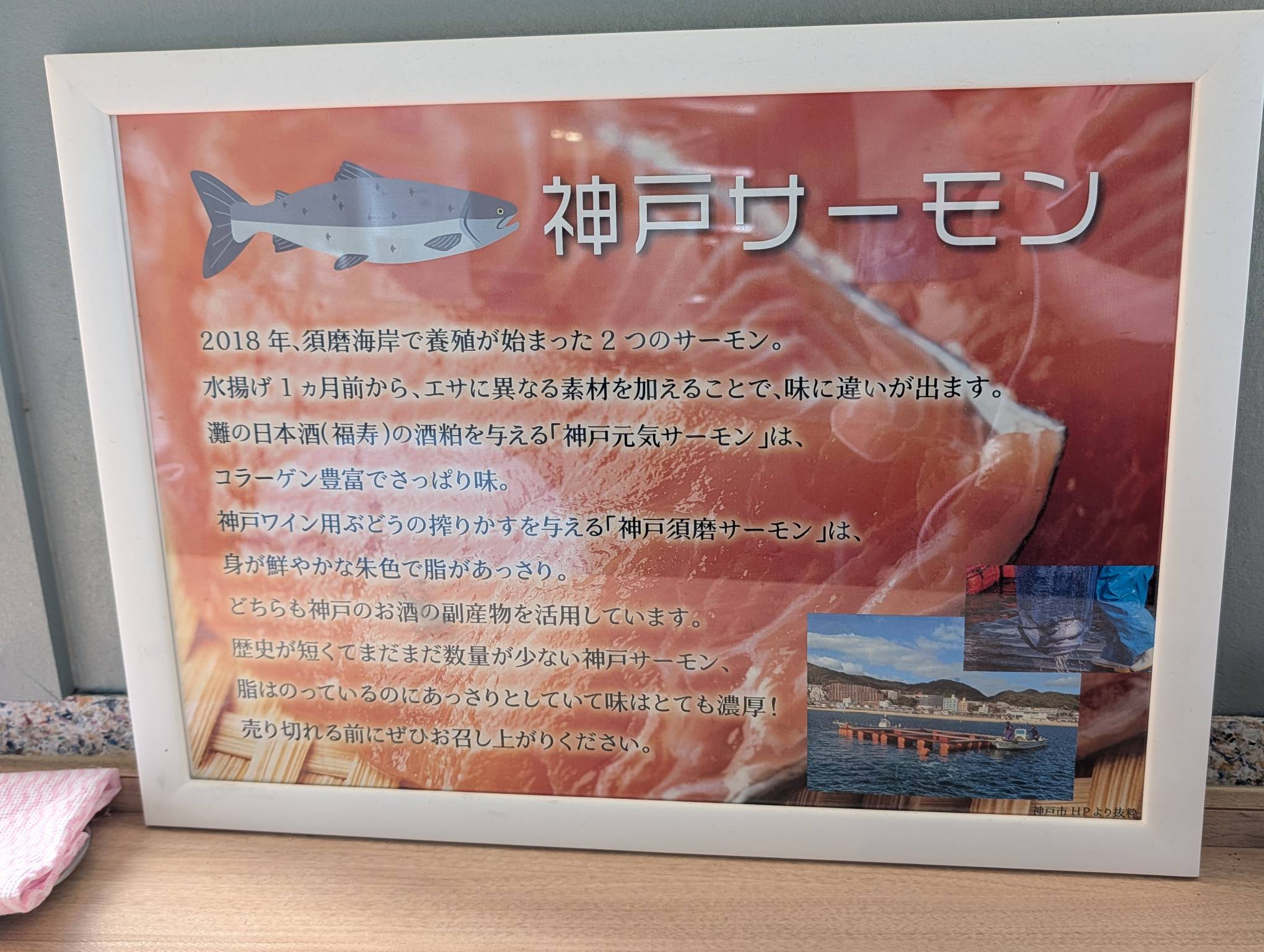 【日本旅遊】神戶姬路岡山自由行，溫差極大的賞楓之旅