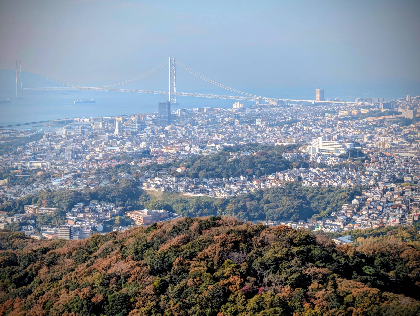 頂樓展望台景色