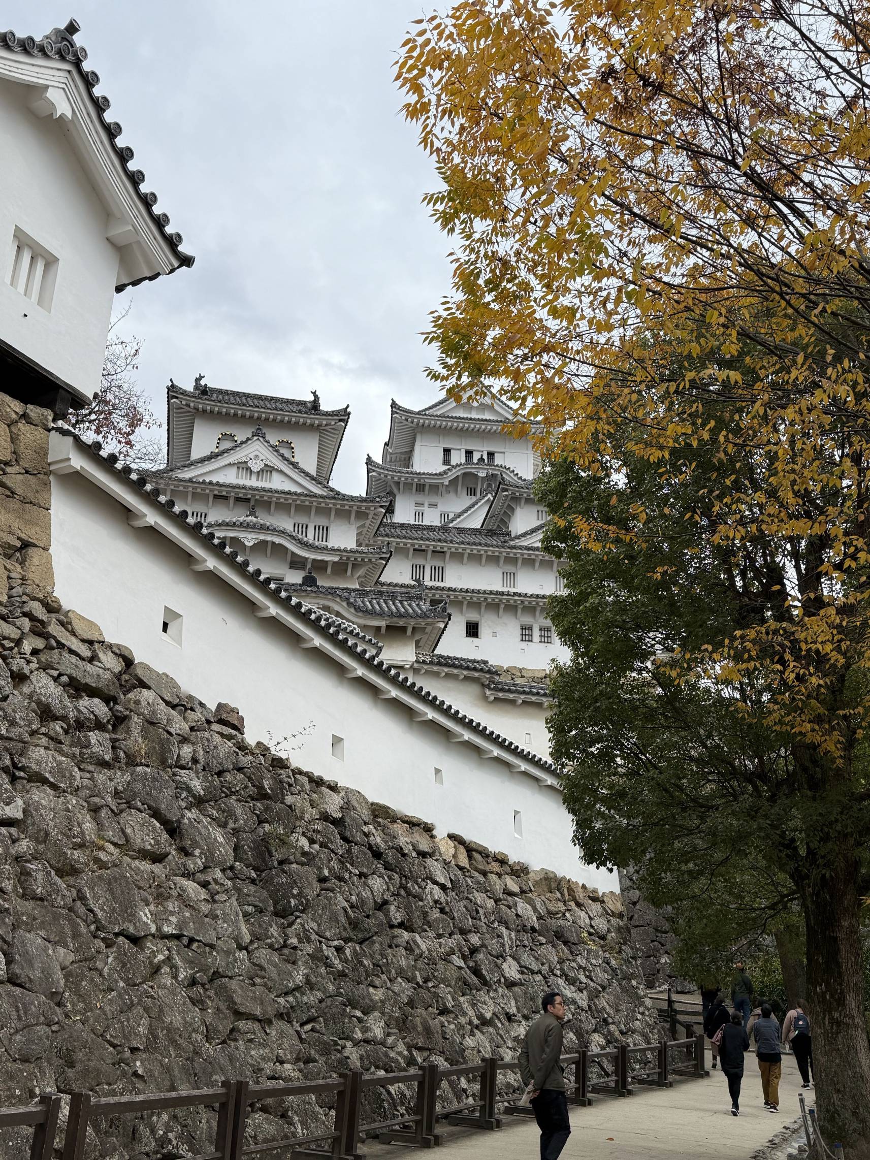 【日本旅遊】神戶姬路岡山自由行，溫差極大的賞楓之旅