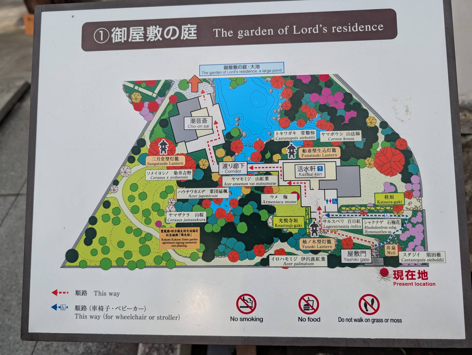 【日本旅遊】神戶姬路岡山自由行，溫差極大的賞楓之旅