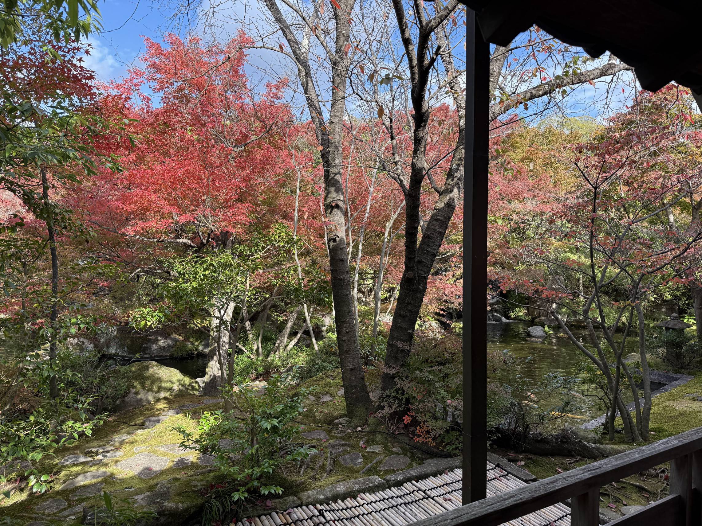 【日本旅遊】神戶姬路岡山自由行，溫差極大的賞楓之旅