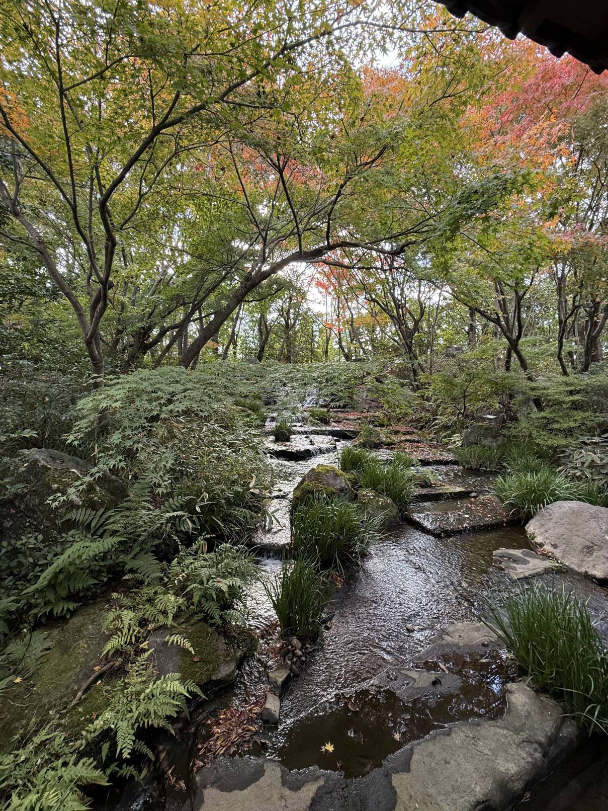 【日本旅遊】神戶姬路岡山自由行，溫差極大的賞楓之旅
