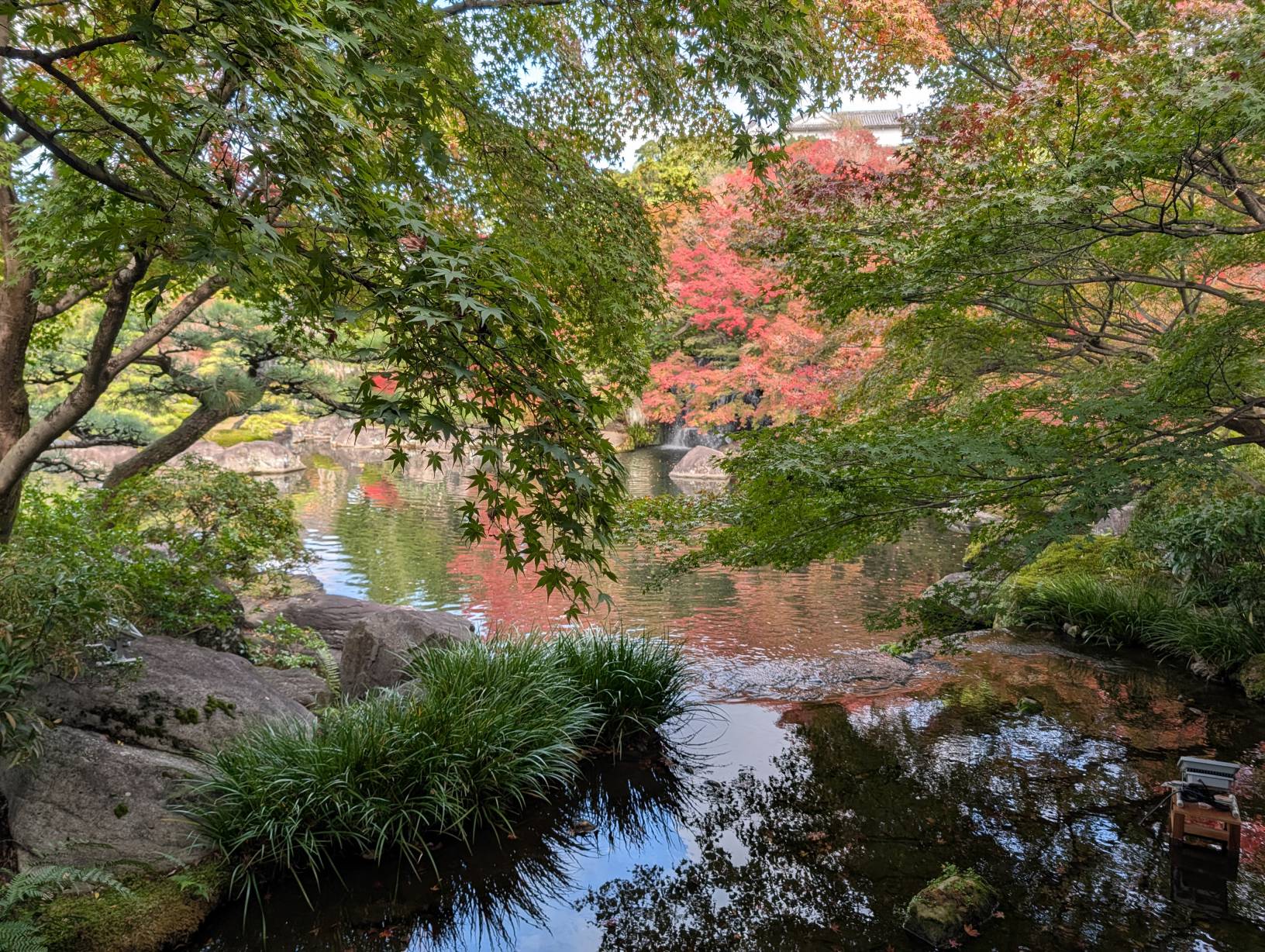 【日本旅遊】神戶姬路岡山自由行，溫差極大的賞楓之旅