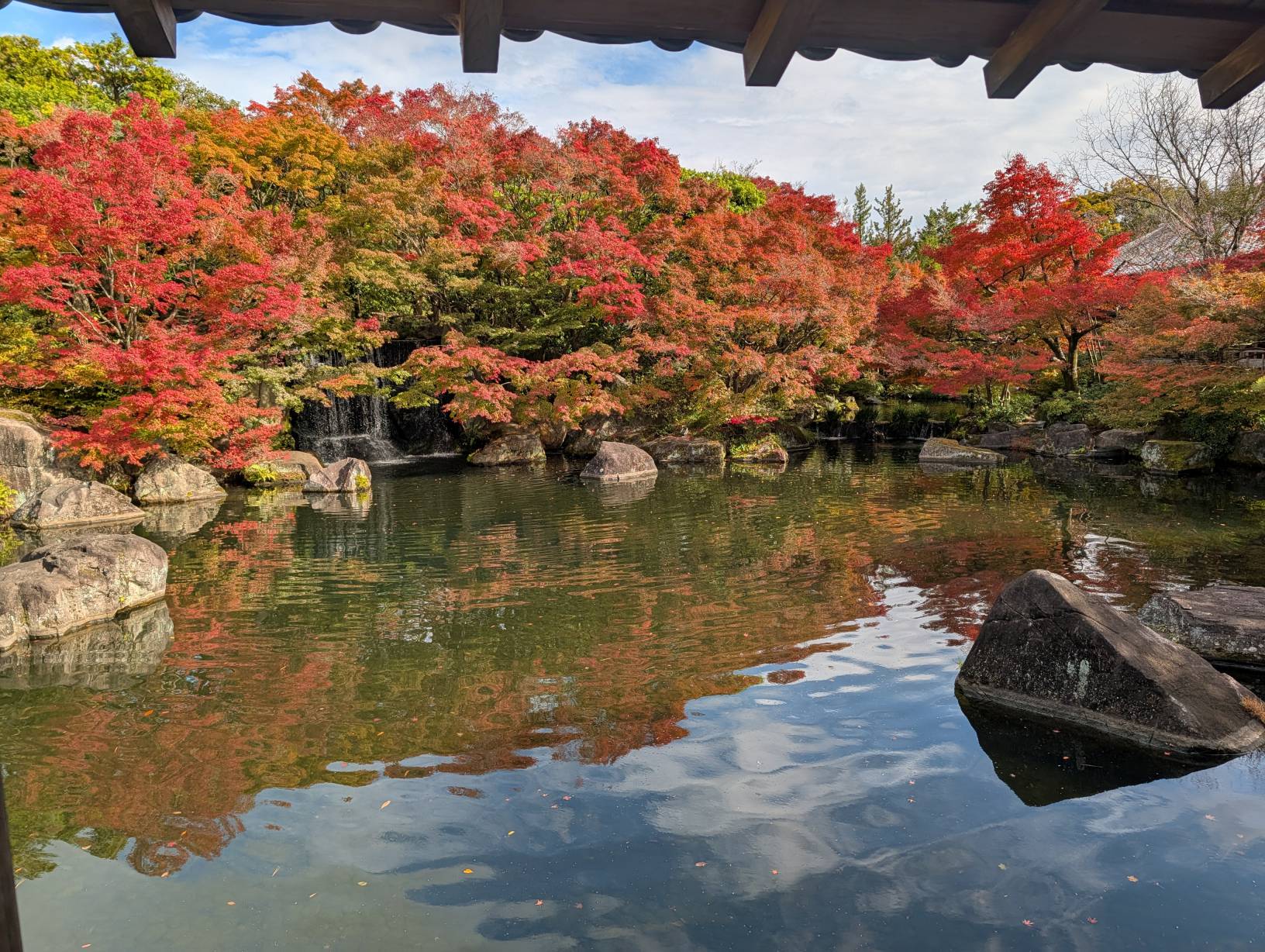 【日本旅遊】神戶姬路岡山自由行，溫差極大的賞楓之旅
