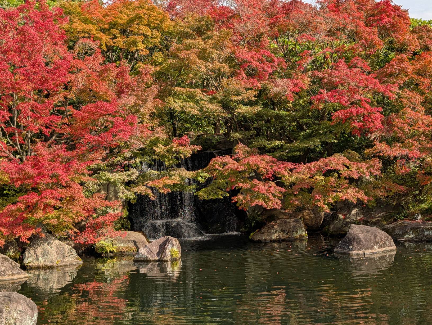 【日本旅遊】神戶姬路岡山自由行，溫差極大的賞楓之旅