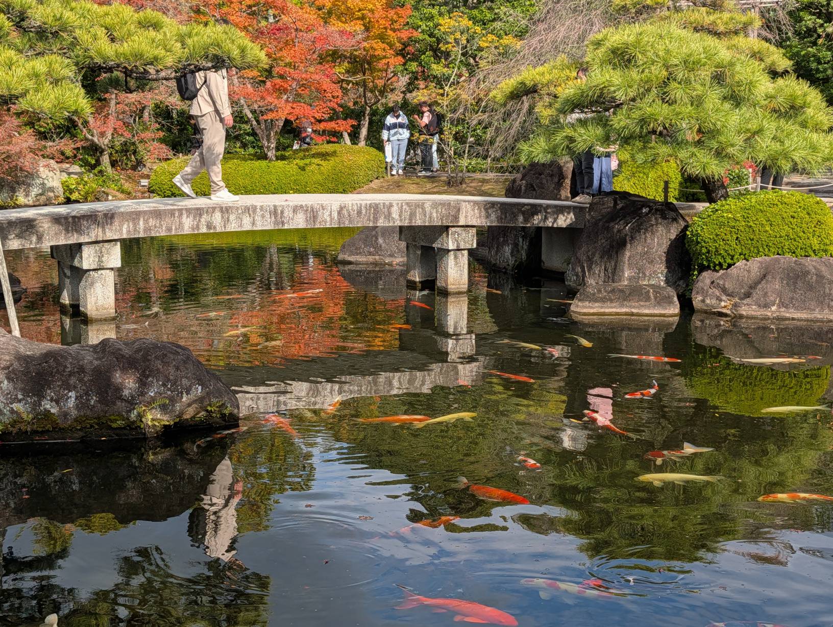 【日本旅遊】神戶姬路岡山自由行，溫差極大的賞楓之旅