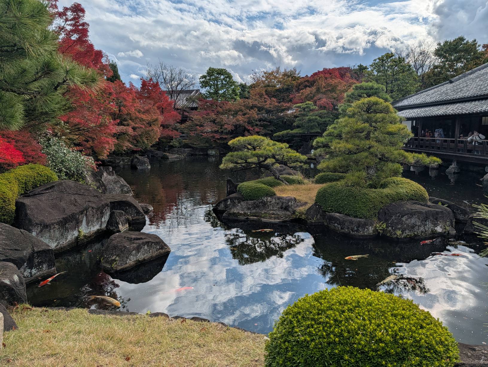 【日本旅遊】神戶姬路岡山自由行，溫差極大的賞楓之旅