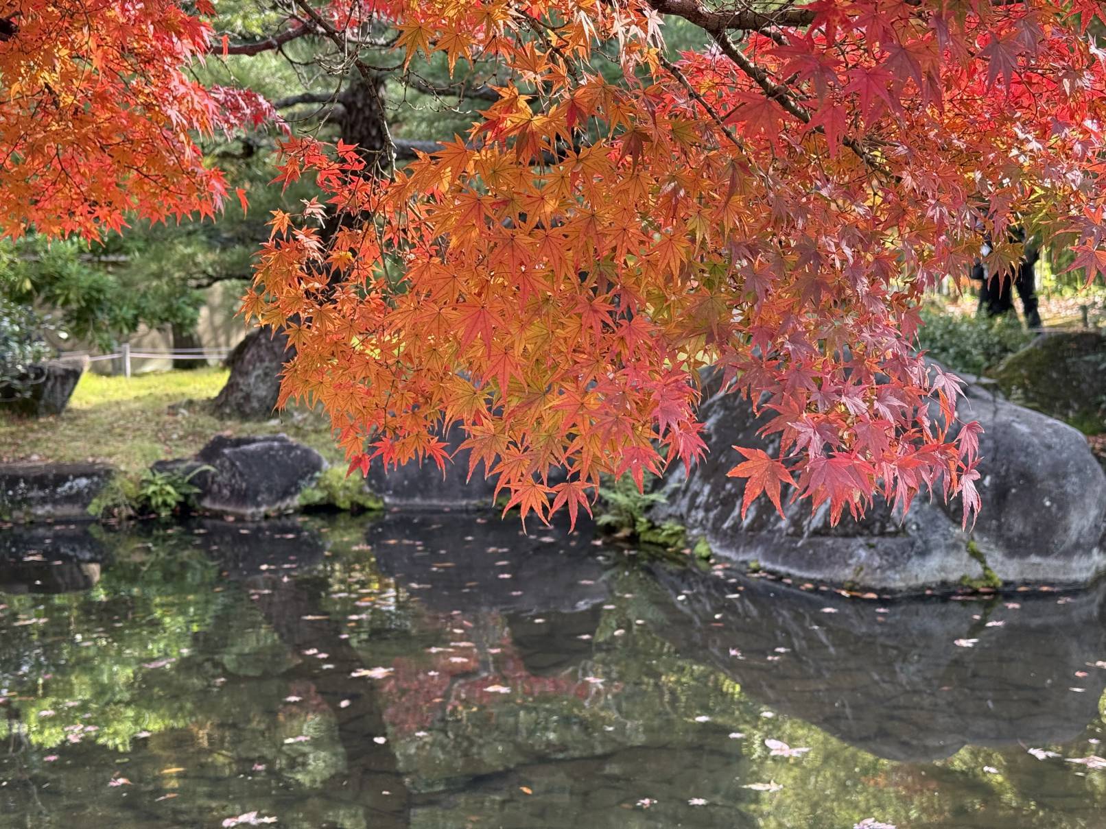 【日本旅遊】神戶姬路岡山自由行，溫差極大的賞楓之旅