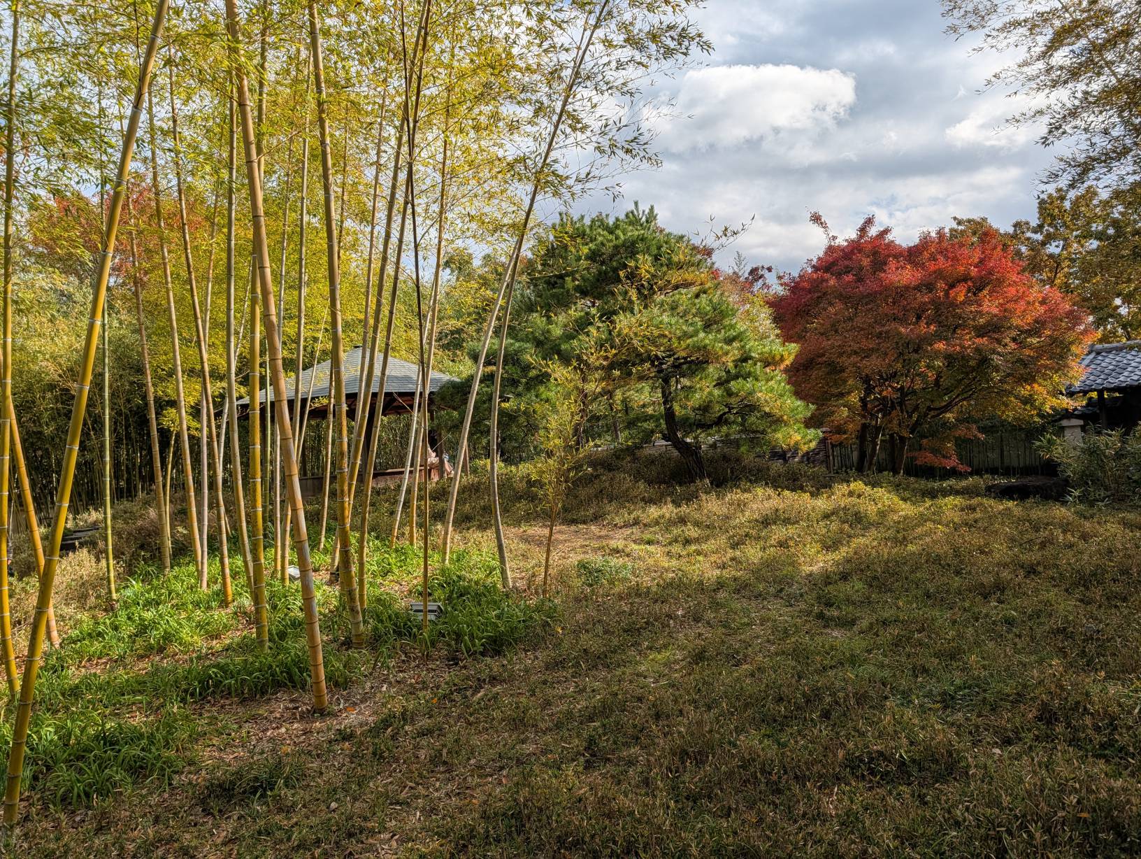 【日本旅遊】神戶姬路岡山自由行，溫差極大的賞楓之旅