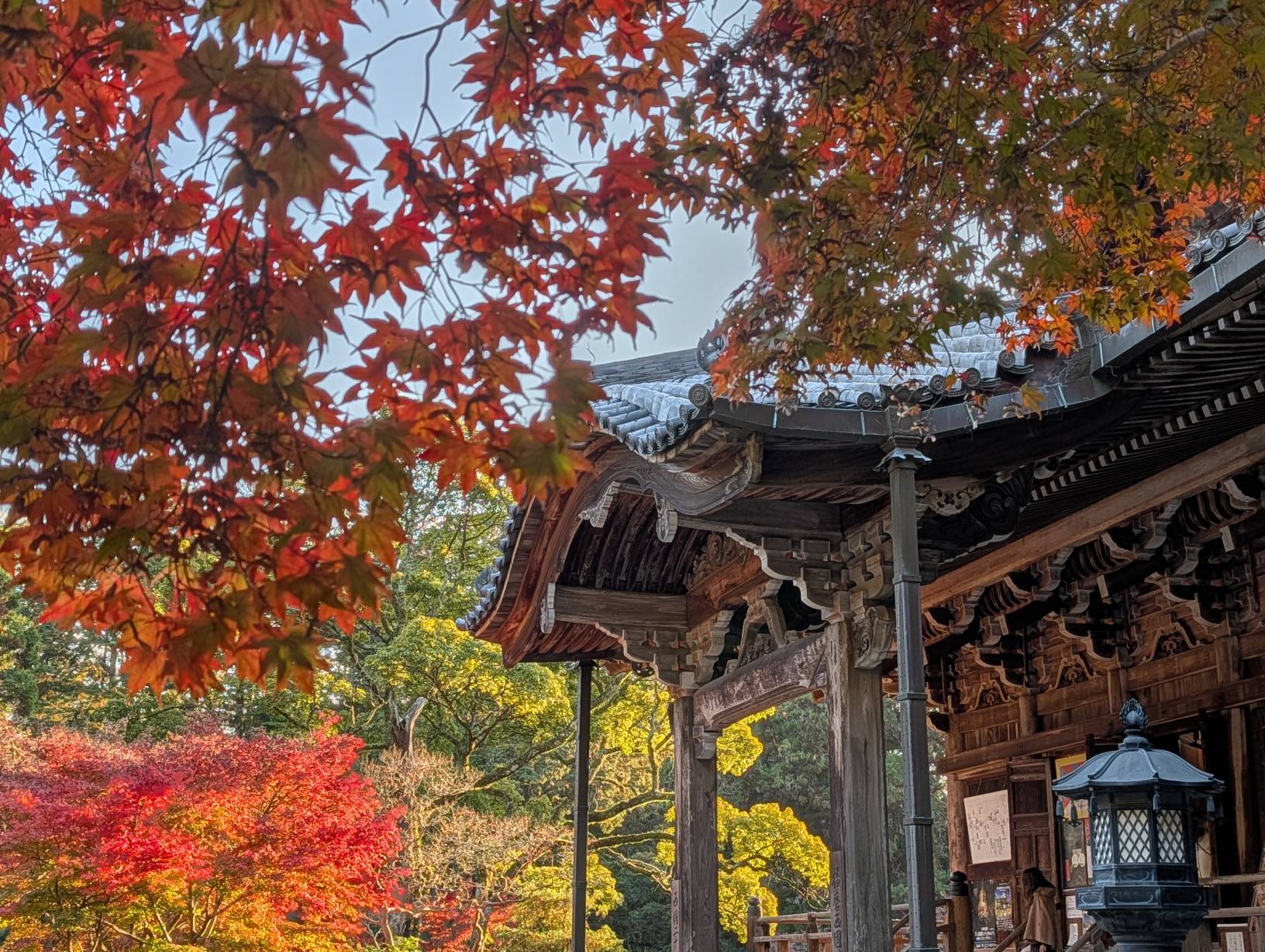 摩尼殿與紅楓