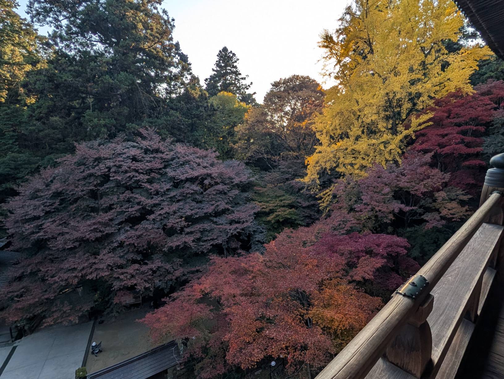 自然的各種顏色
