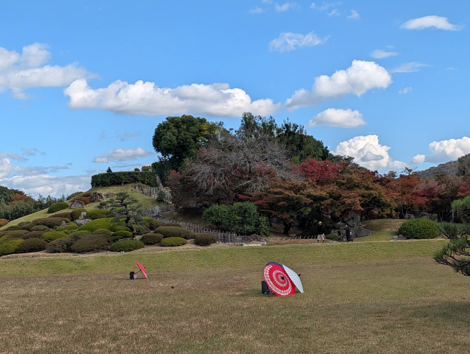 【日本旅遊】神戶姬路岡山自由行，溫差極大的賞楓之旅