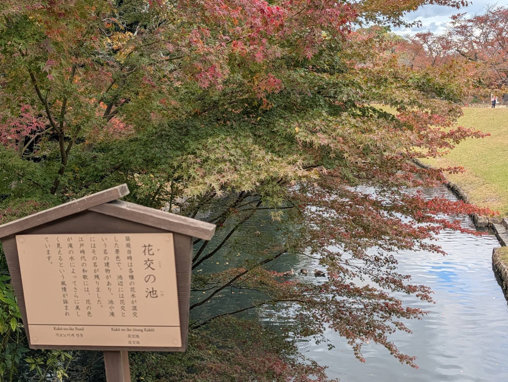 【日本旅遊】神戶姬路岡山自由行，溫差極大的賞楓之旅
