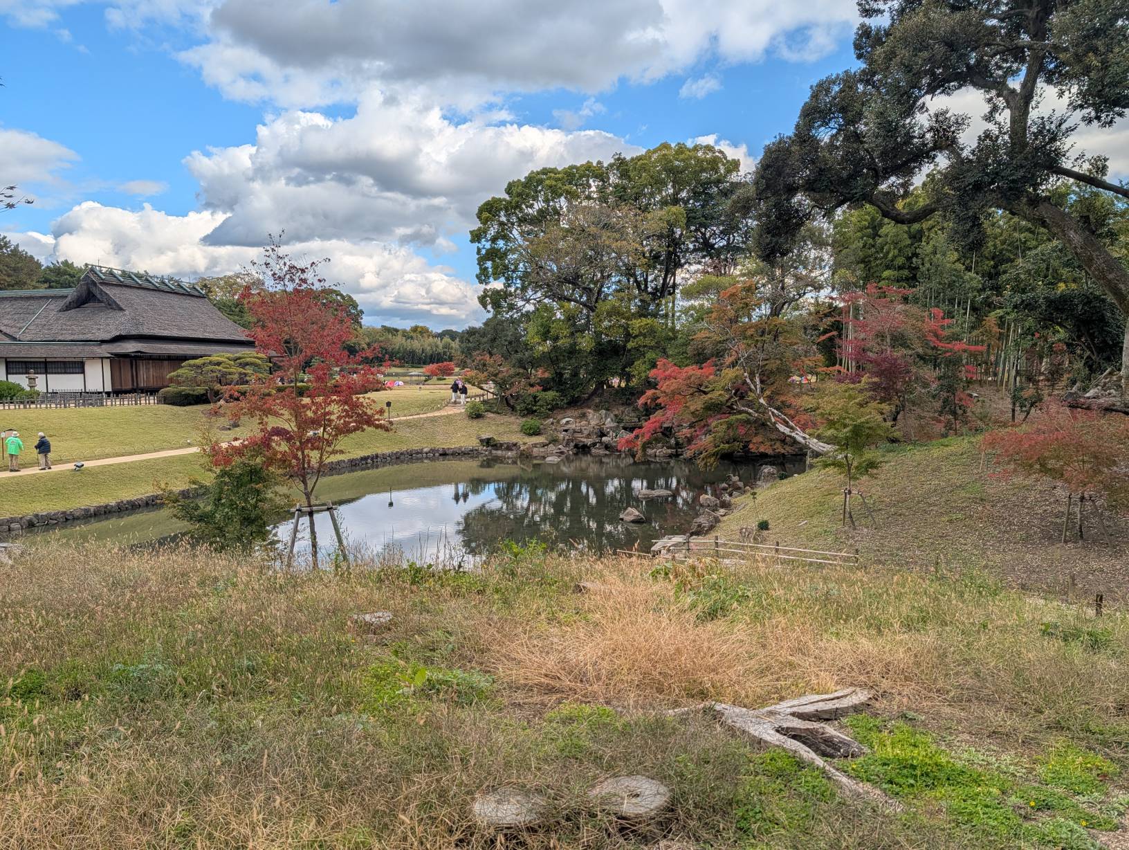 【日本旅遊】神戶姬路岡山自由行，溫差極大的賞楓之旅