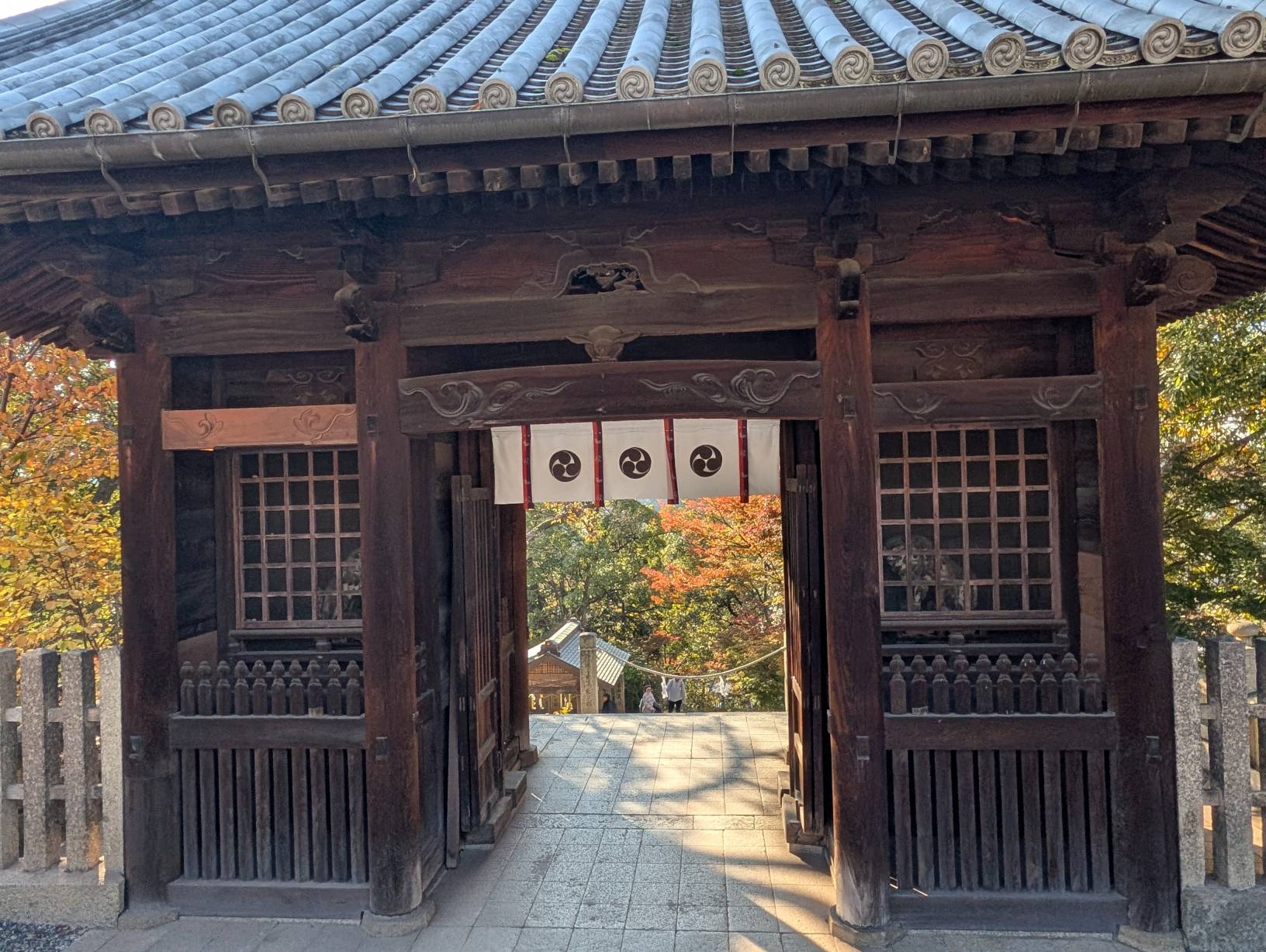【日本旅遊】神戶姬路岡山自由行，溫差極大的賞楓之旅