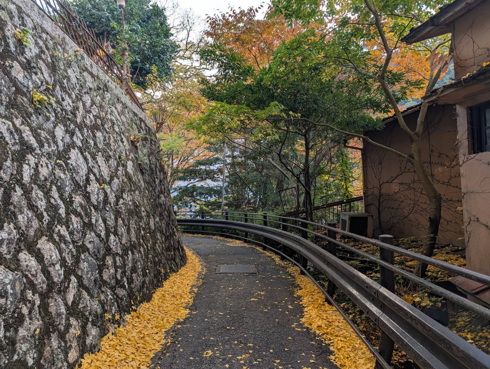 【日本旅遊】神戶姬路岡山自由行，溫差極大的賞楓之旅