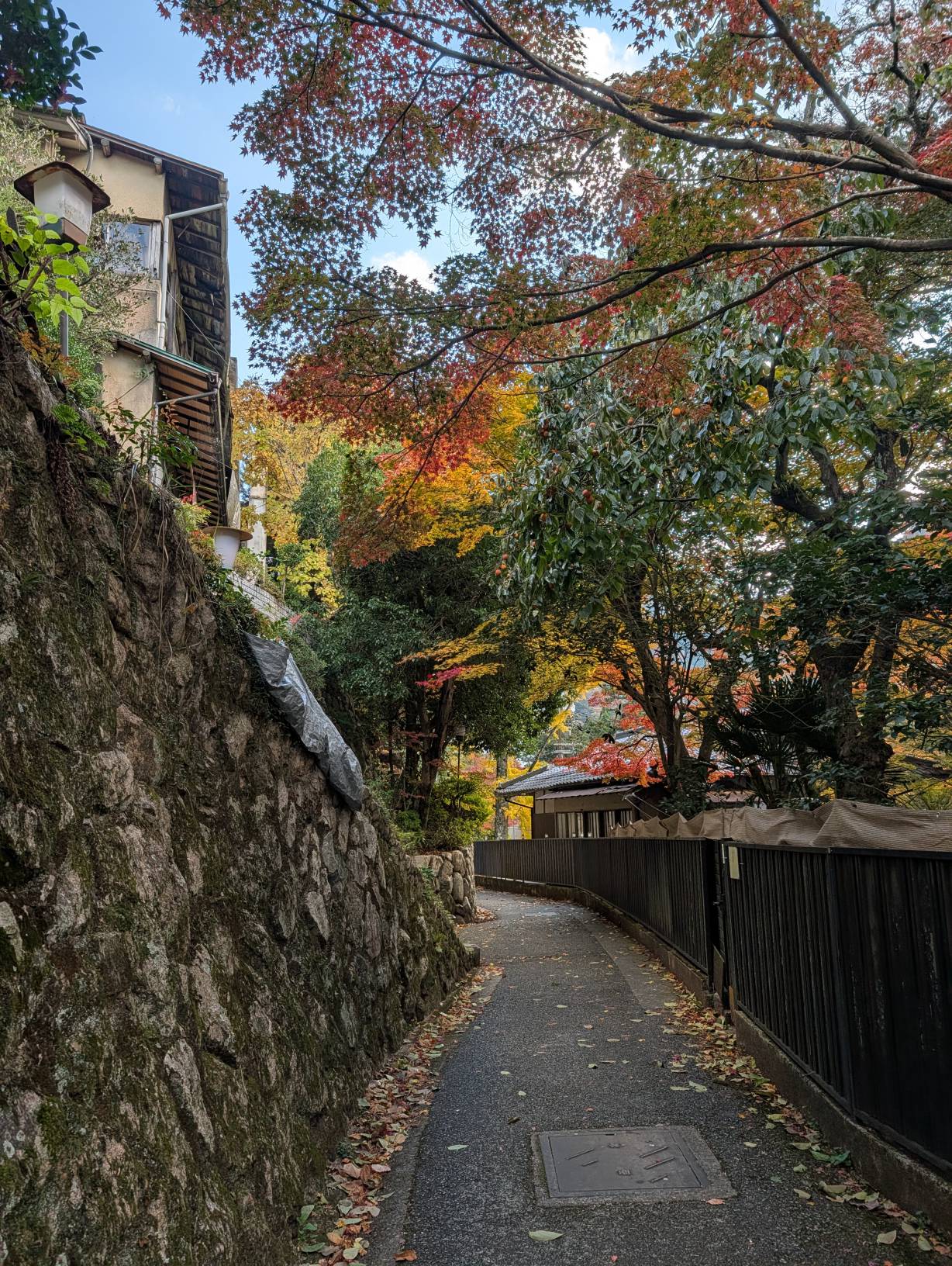 【日本旅遊】神戶姬路岡山自由行，溫差極大的賞楓之旅