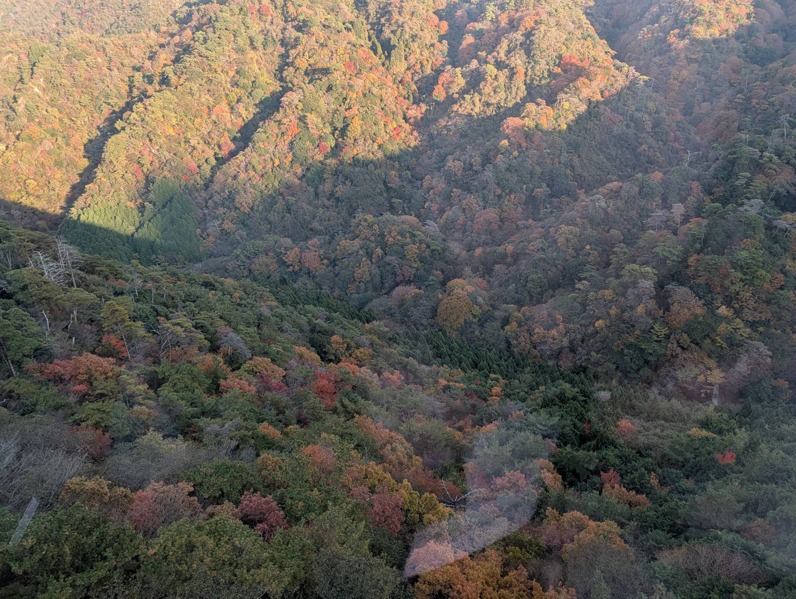 【日本旅遊】神戶姬路岡山自由行，溫差極大的賞楓之旅