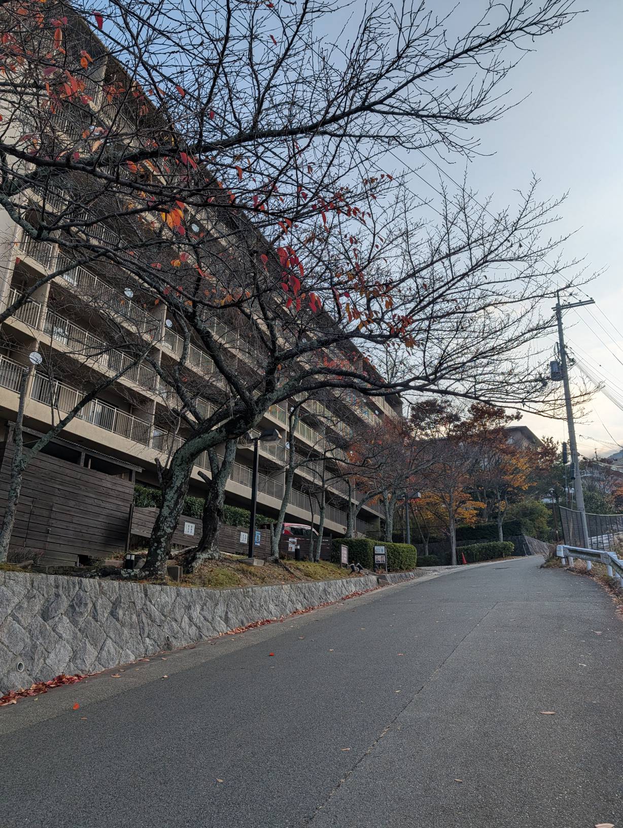 【日本景點】有馬溫泉最強賞楓地!瑞寶寺公園紅楓盛宴,隨手拍都是桌布美景