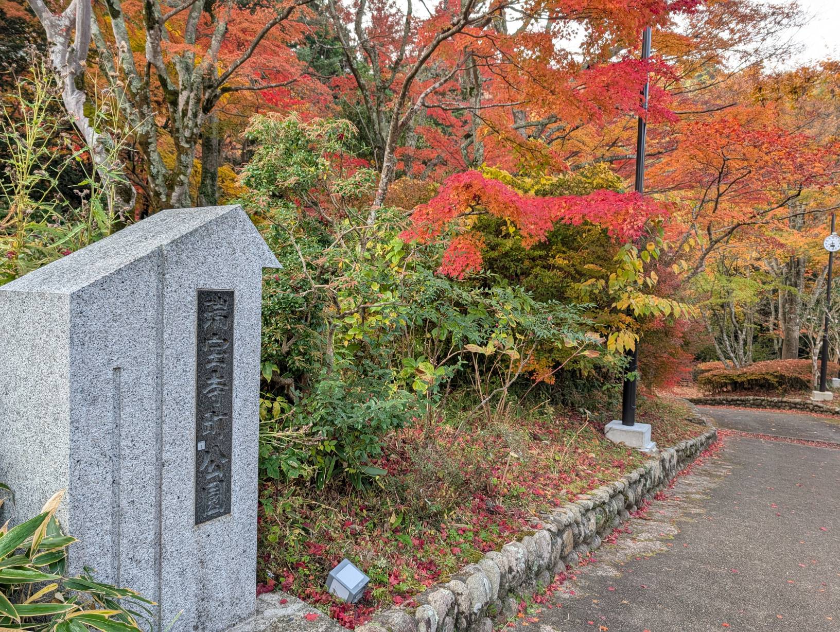 【日本景點】有馬溫泉最強賞楓地!瑞寶寺公園紅楓盛宴,隨手拍都是桌布美景
