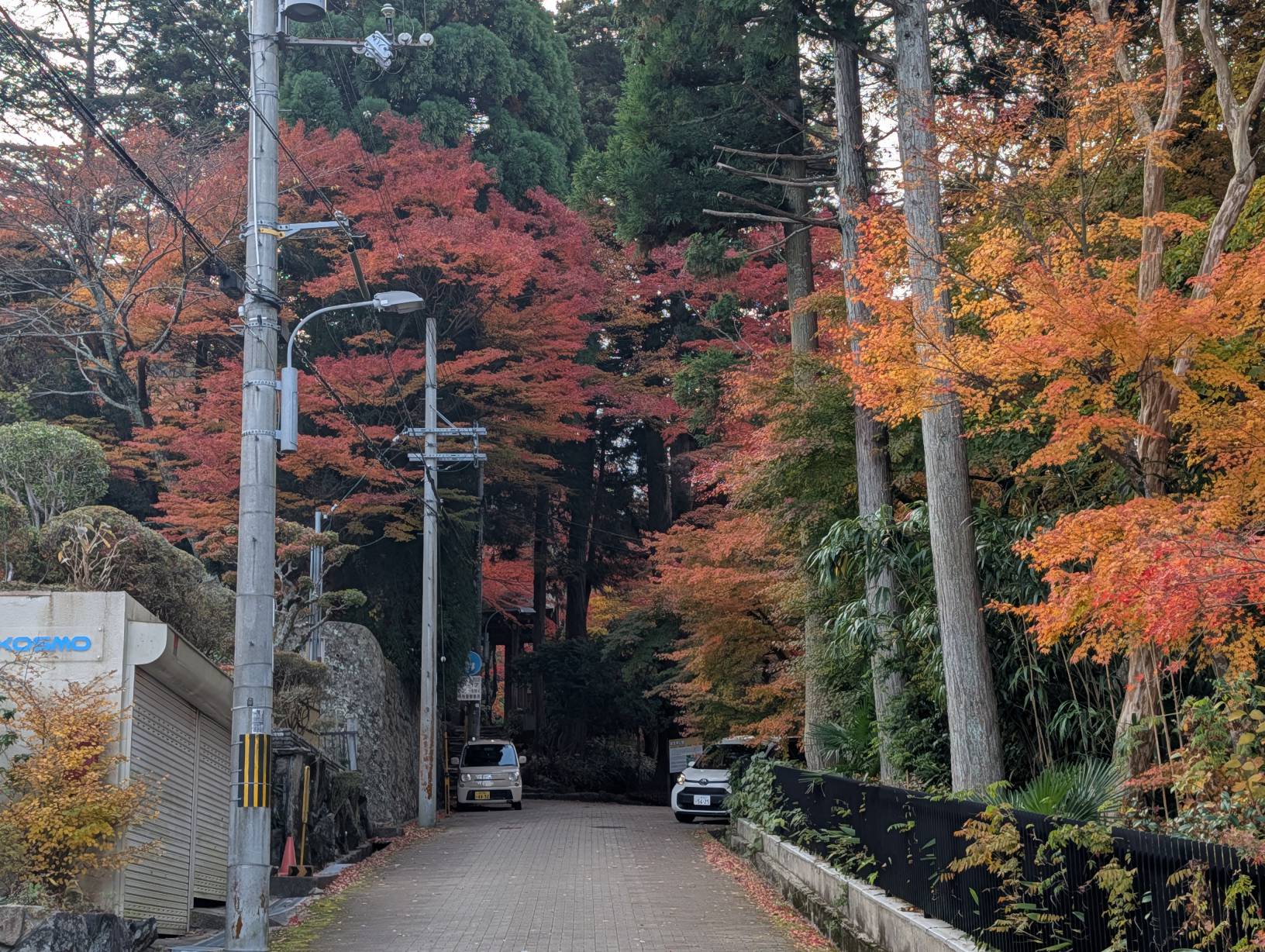【日本景點】有馬溫泉最強賞楓地!瑞寶寺公園紅楓盛宴,隨手拍都是桌布美景