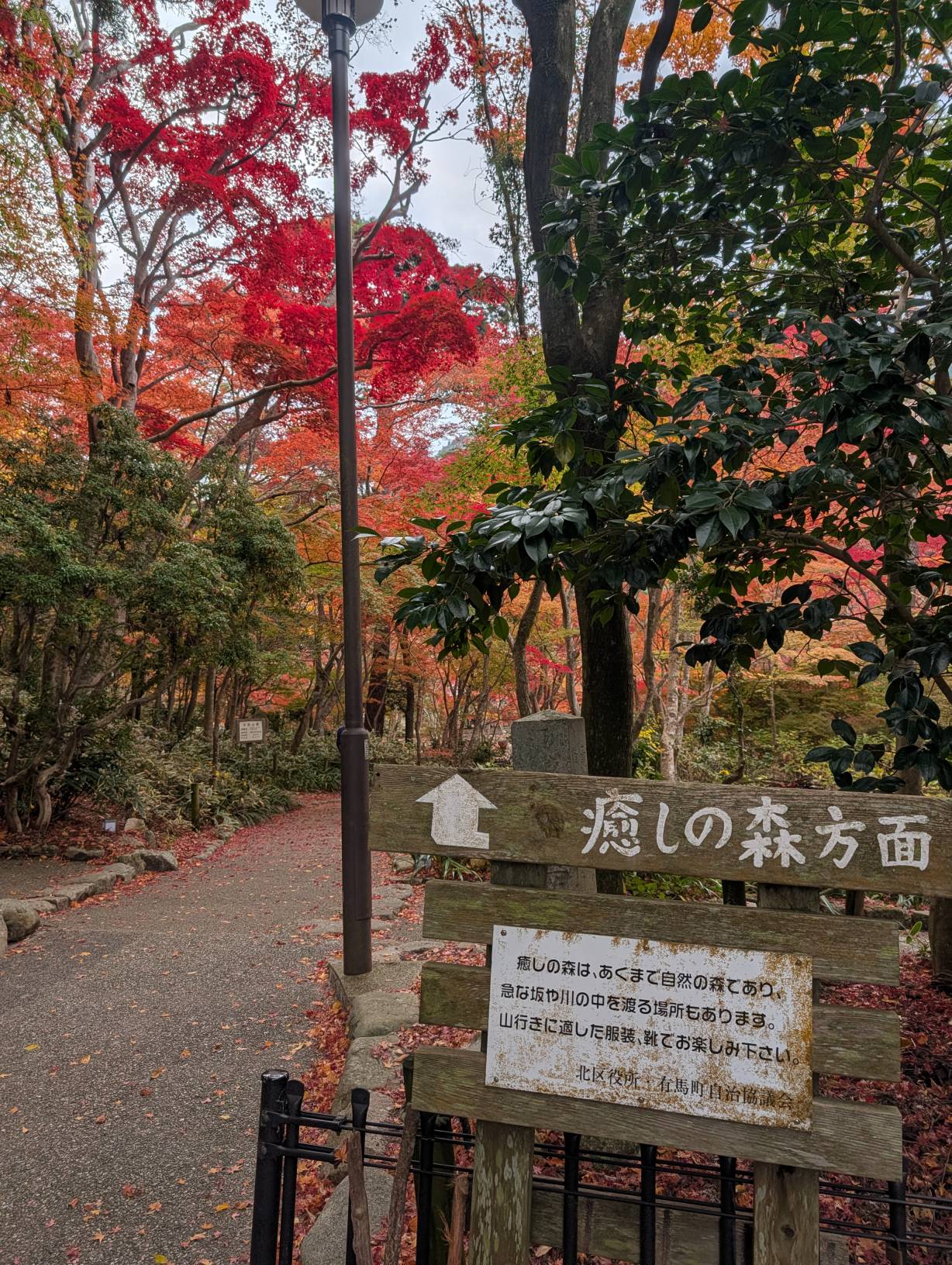 【日本景點】有馬溫泉最強賞楓地!瑞寶寺公園紅楓盛宴,隨手拍都是桌布美景