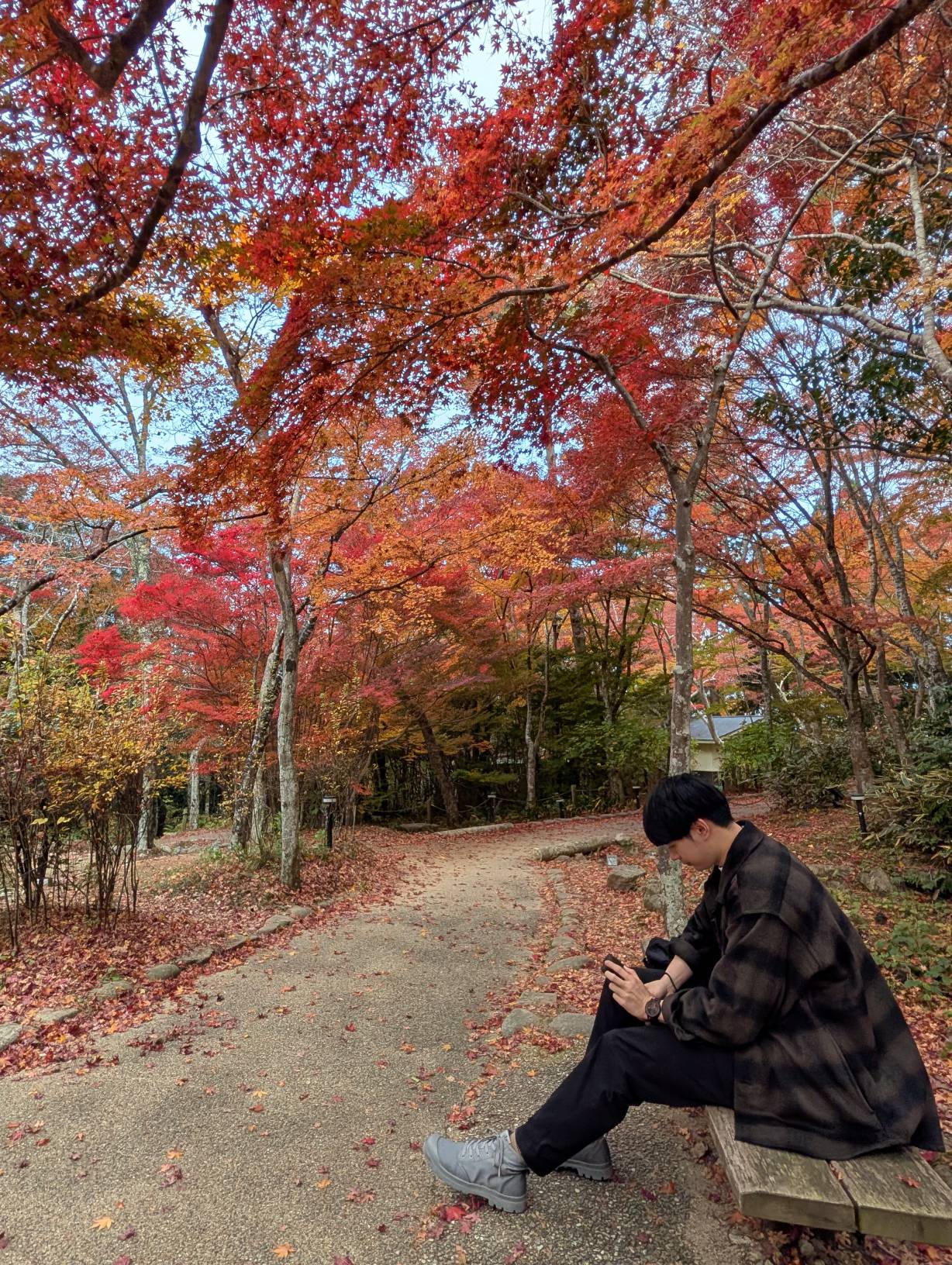 【日本景點】有馬溫泉最強賞楓地!瑞寶寺公園紅楓盛宴,隨手拍都是桌布美景