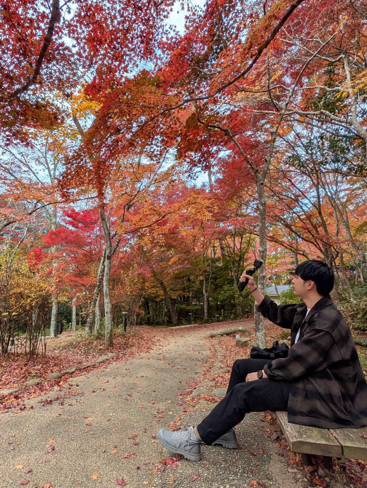 【日本景點】有馬溫泉最強賞楓地!瑞寶寺公園紅楓盛宴,隨手拍都是桌布美景