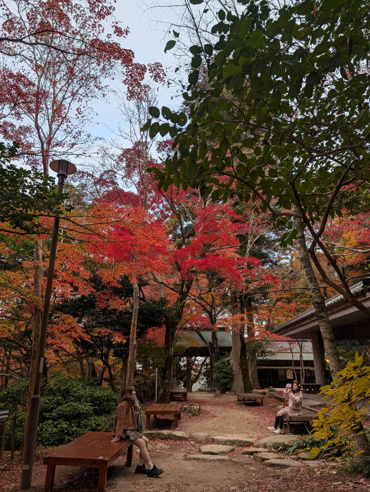 【日本景點】有馬溫泉最強賞楓地!瑞寶寺公園紅楓盛宴,隨手拍都是桌布美景