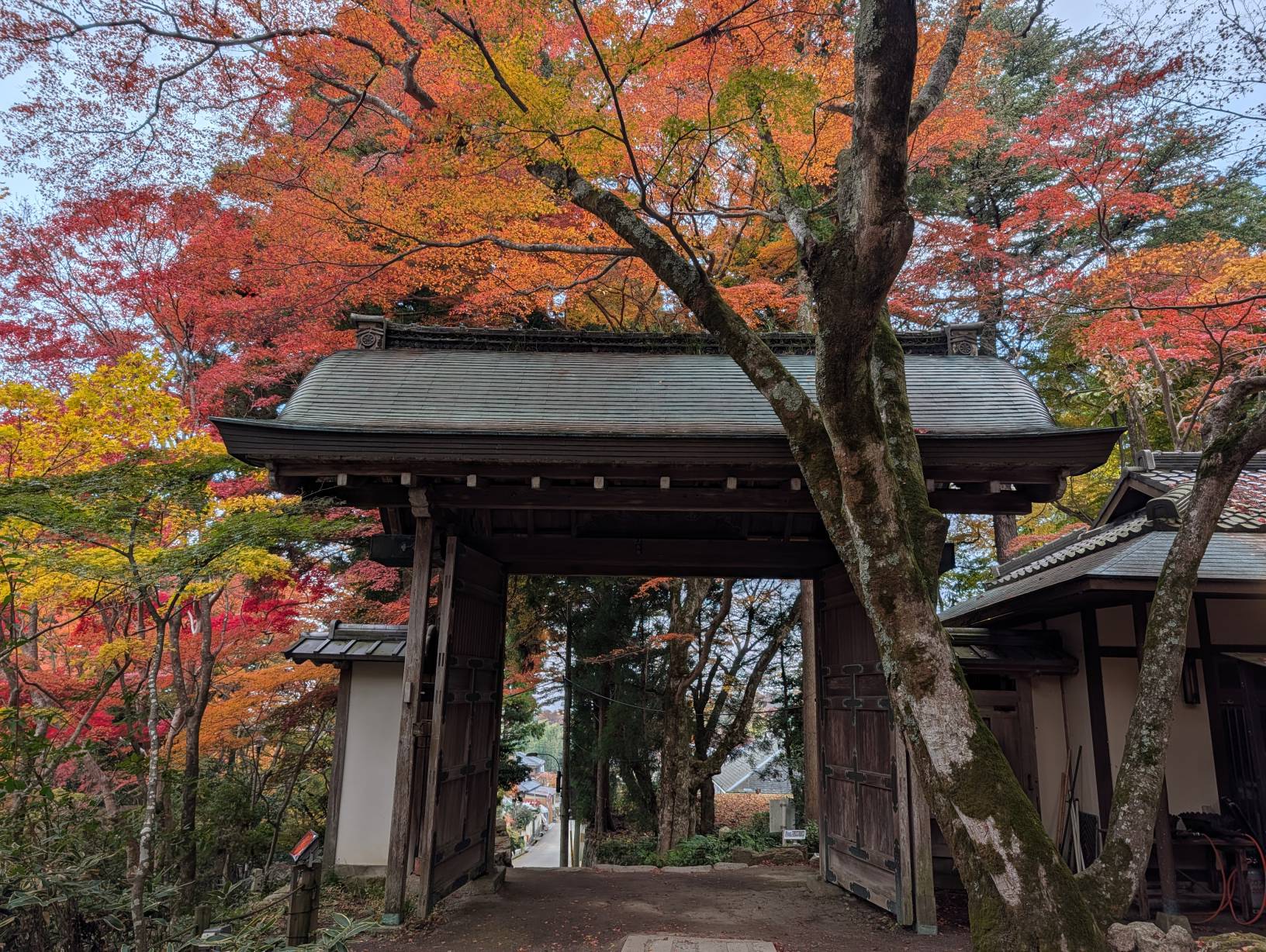 【日本景點】有馬溫泉最強賞楓地!瑞寶寺公園紅楓盛宴,隨手拍都是桌布美景