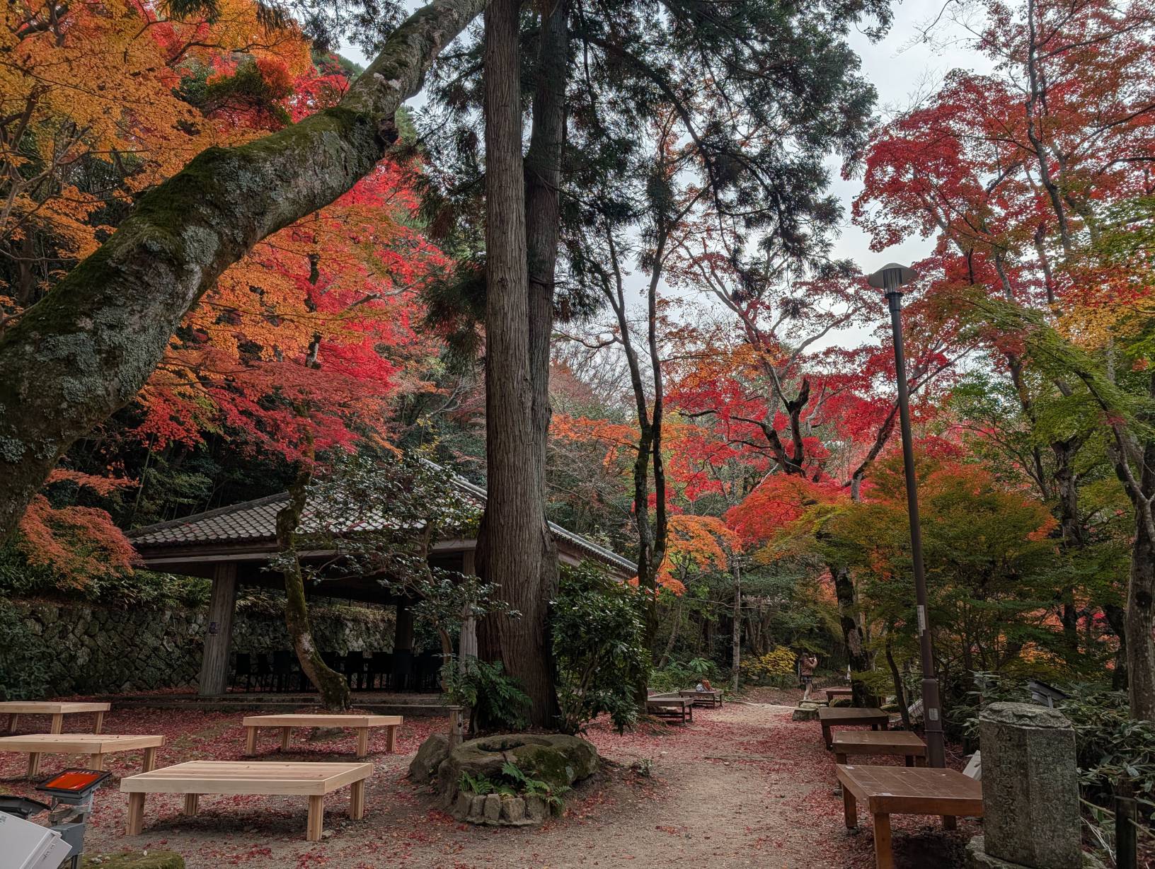 【日本景點】有馬溫泉最強賞楓地!瑞寶寺公園紅楓盛宴,隨手拍都是桌布美景