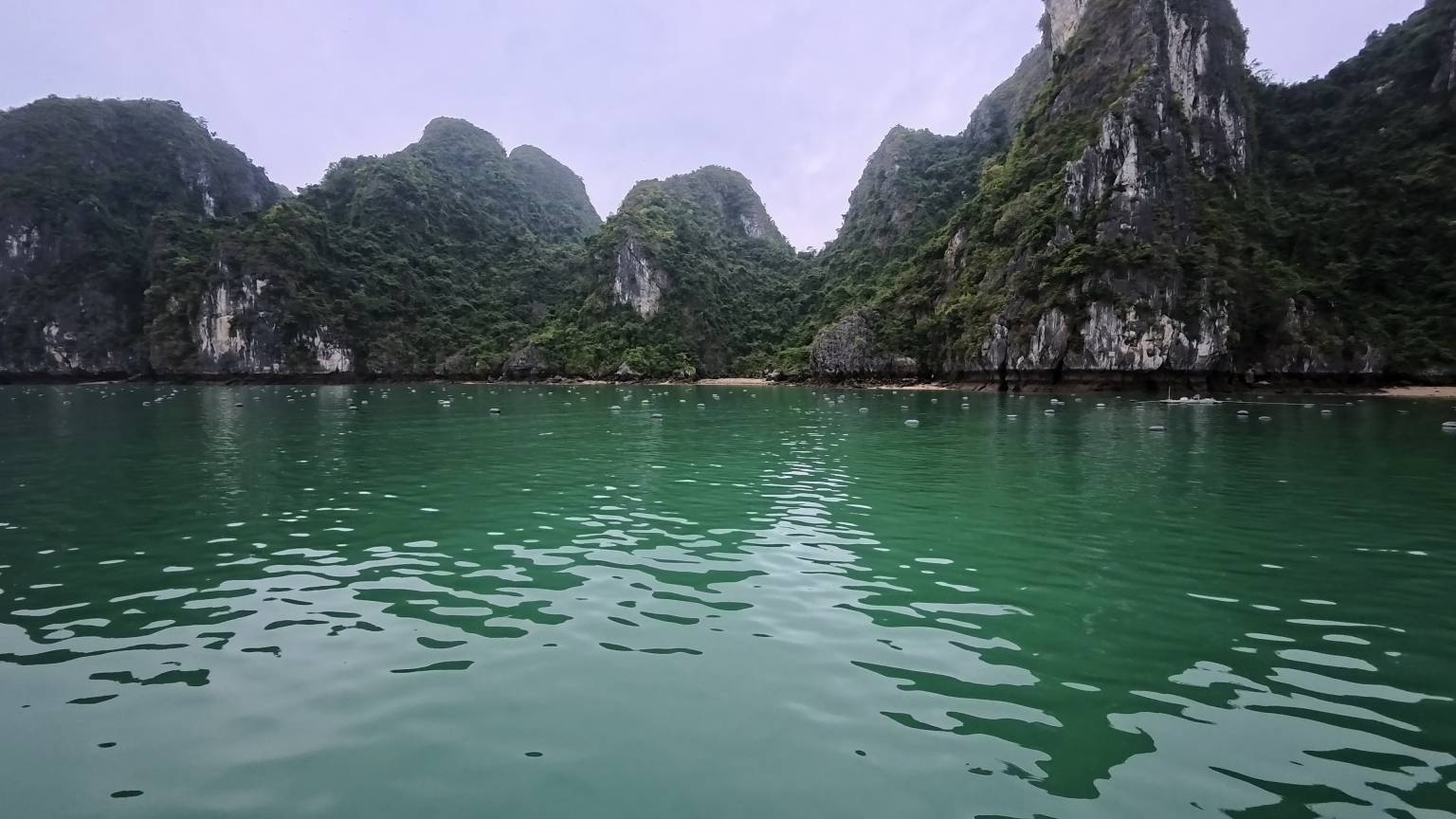 養殖珍珠的浮標