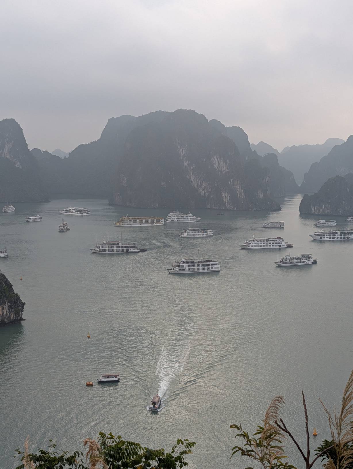 山頂的景色